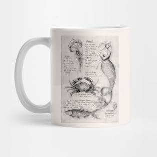 Mermaid Mug